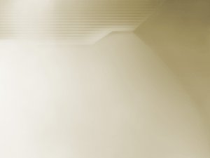 SEO优化